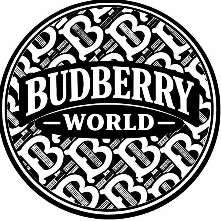 BUDBERRY WORLD — AF Visuals Original